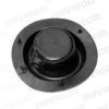 LANCIA 4318474 Oil Seal, manual transmission